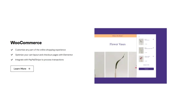 Elementor Pro - Image 4
