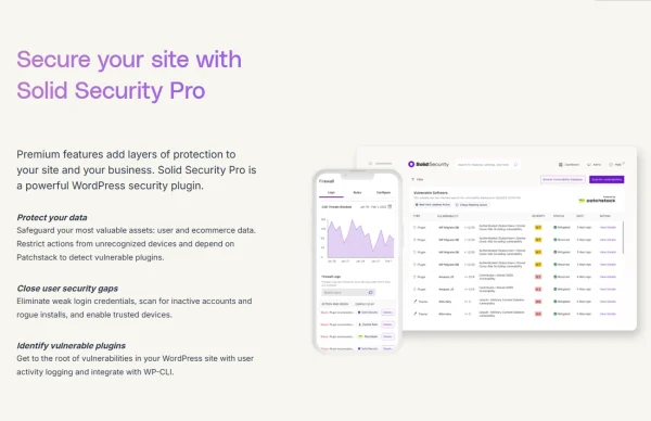 IThemes Security Pro - Image 5